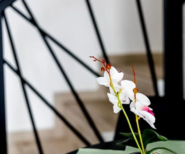 公寓 Pagani - Luxury Maisonette B2 *