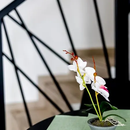 Apartament Pagani - Luxury Maisonette B2 *